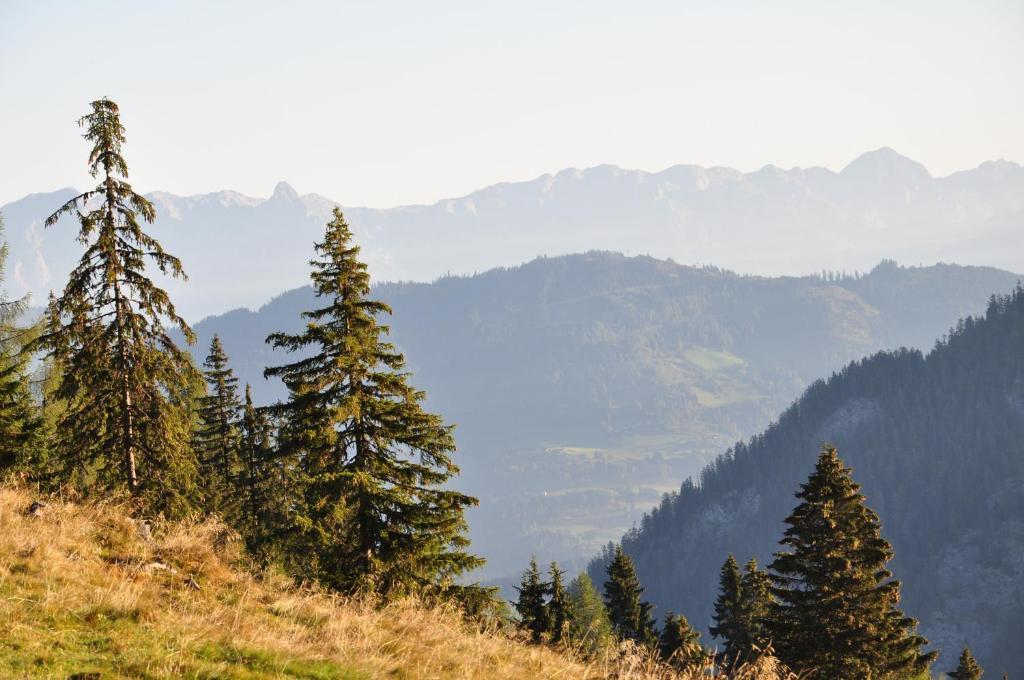 Pension Posauner Dorfgastein Luaran gambar